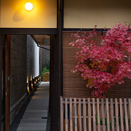 restaurant-bini